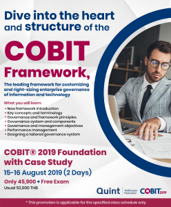 COBIT-2019 Praxisprüfung